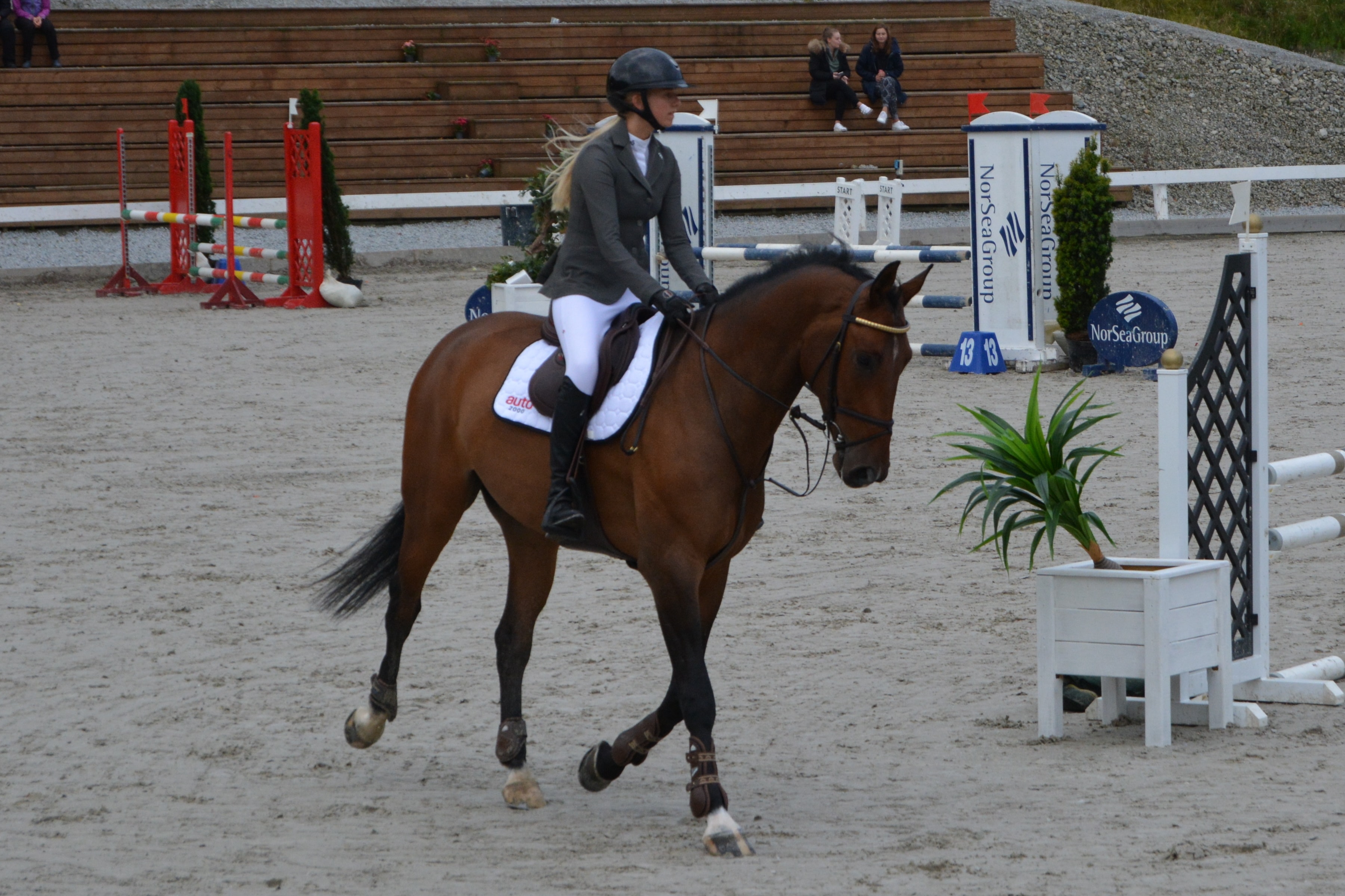 D/L/E-stevne Sandnes og Jæren Rideklubb 21-23.august 2020